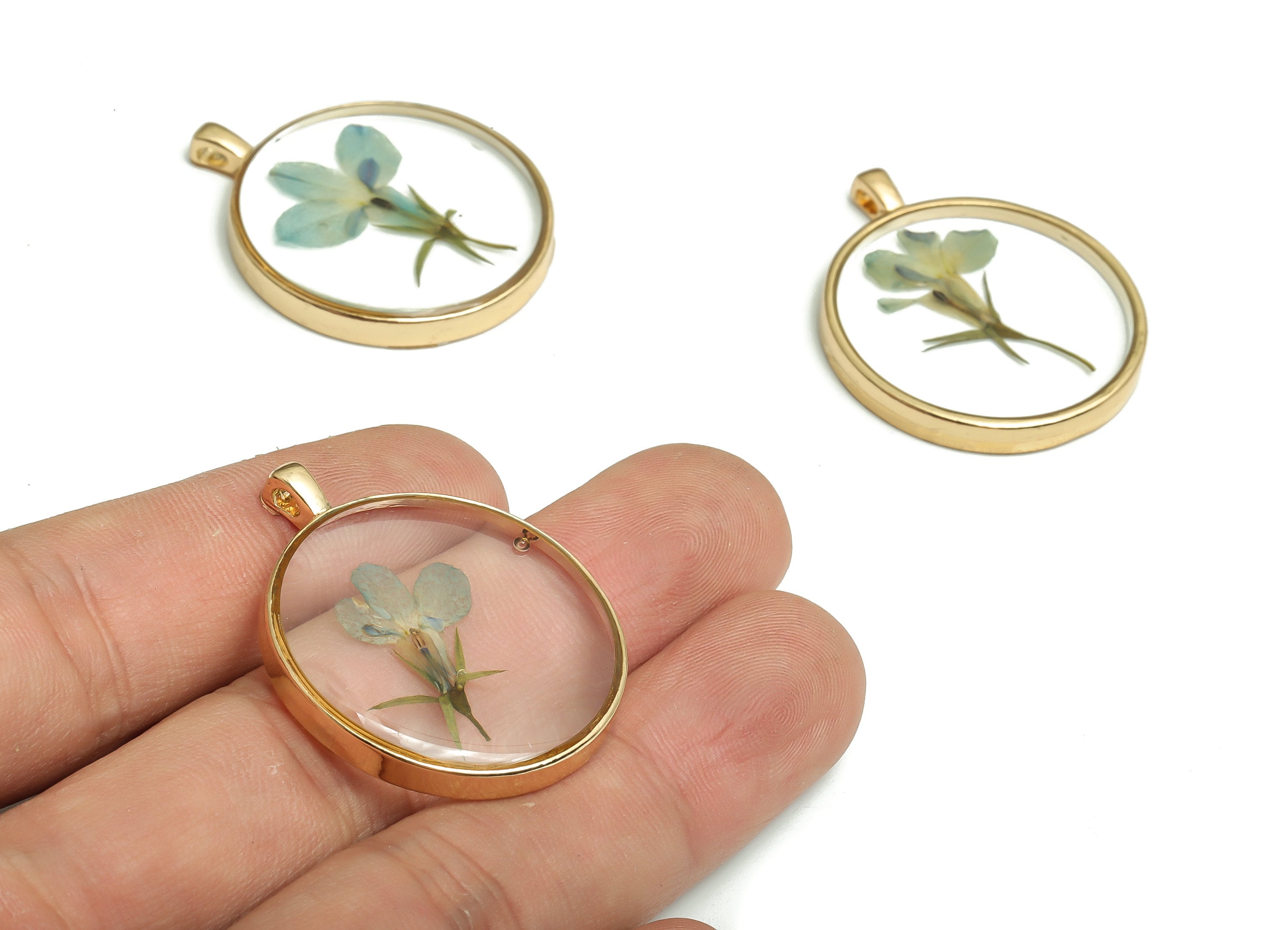 Epoxy Resin Round Real Flower Earring Charms - Pressed Garden Lobelia Pendant Charms - Gold Tone Plated Alloy -35.19x28.79x3.75mm- ZZ1940 - DOMEDBAZAAR