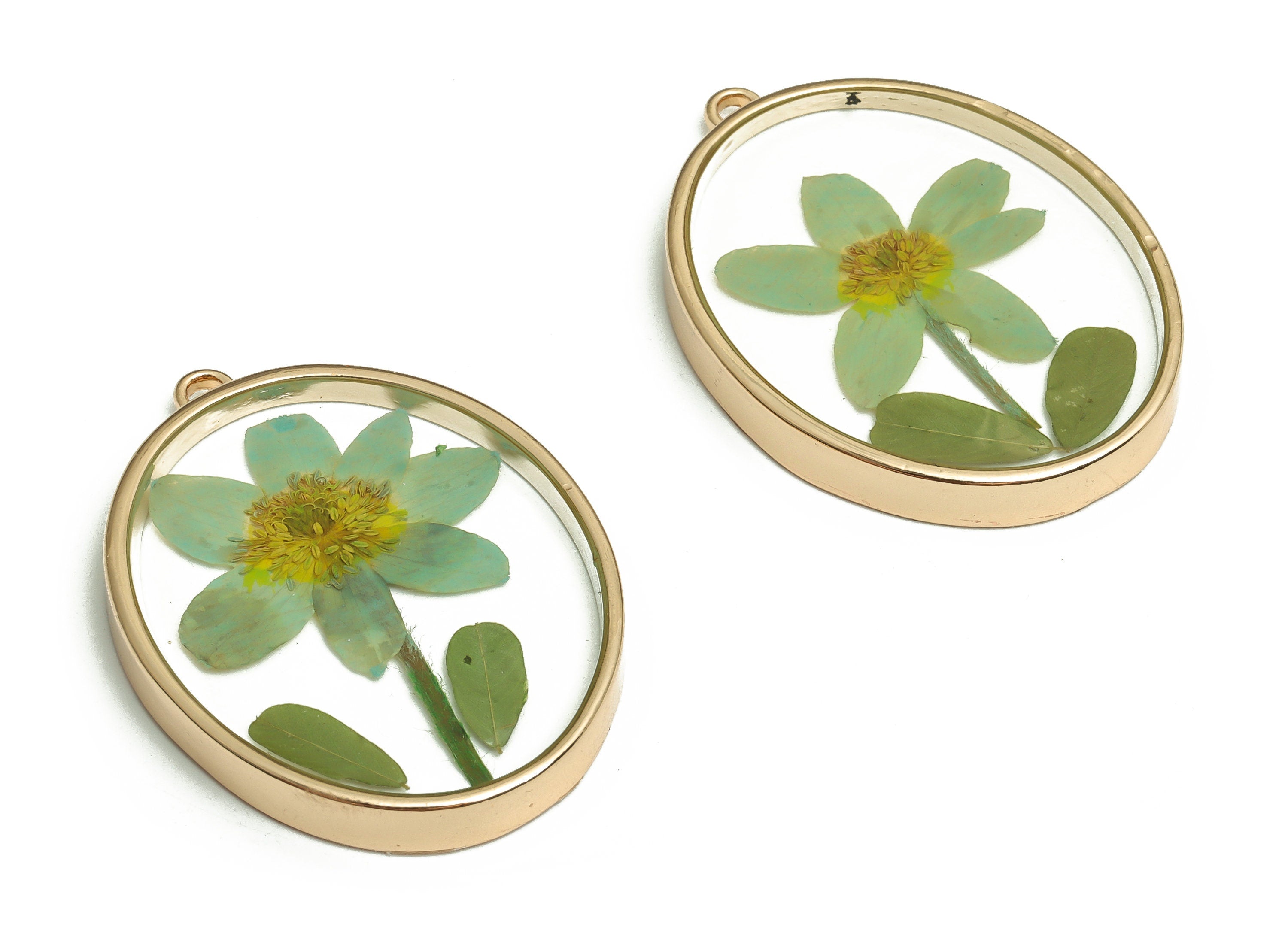 Epoxy Resin Oval Real Flower Earrings Charm - Dried Annunciator Flower Pendant Charms - Gold Tone Plated Alloy -41.17x30.12x4.91mm- ZZ1958 - DOMEDBAZAAR