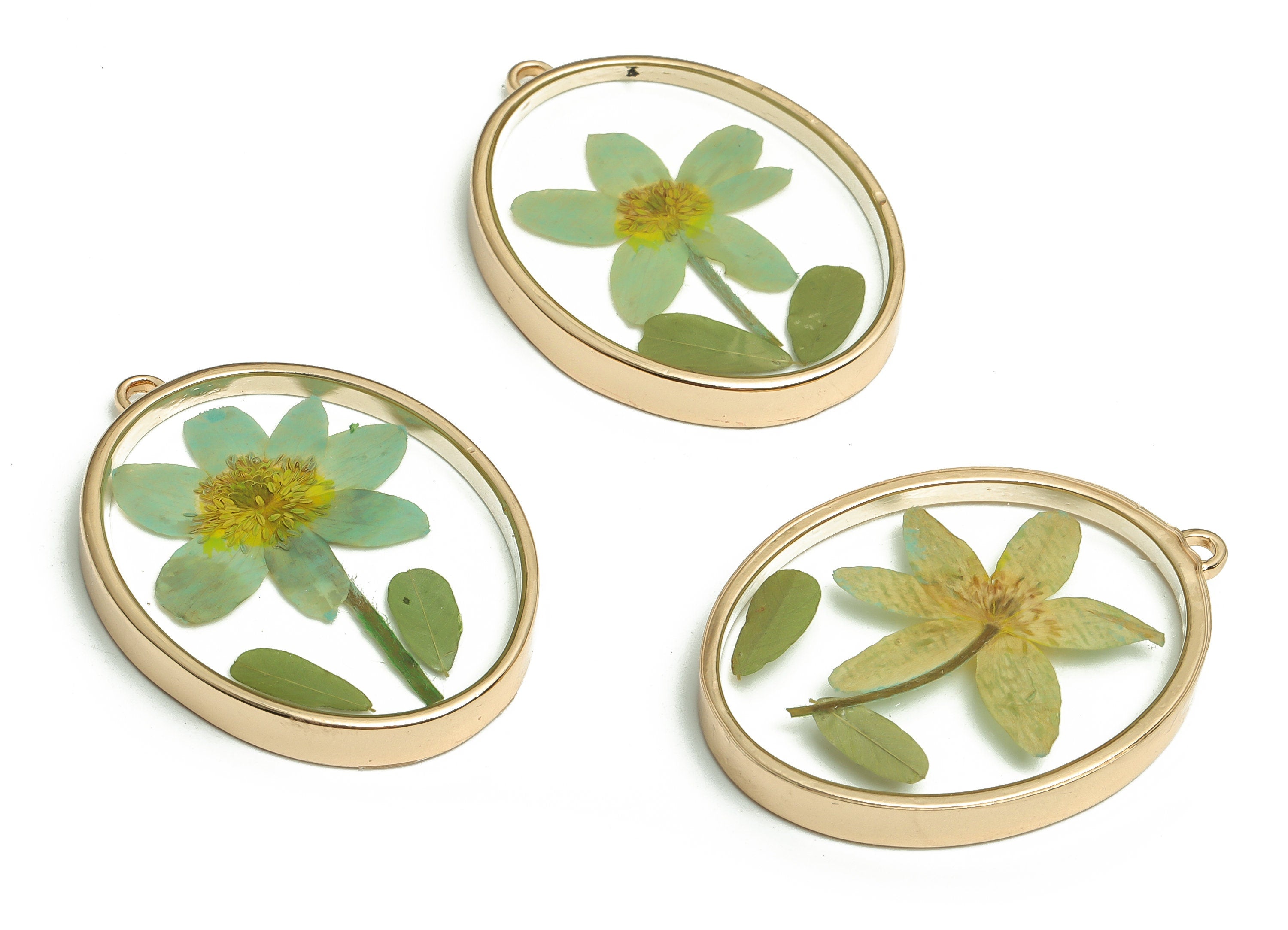 Epoxy Resin Oval Real Flower Earrings Charm - Dried Annunciator Flower Pendant Charms - Gold Tone Plated Alloy -41.17x30.12x4.91mm- ZZ1958 - DOMEDBAZAAR
