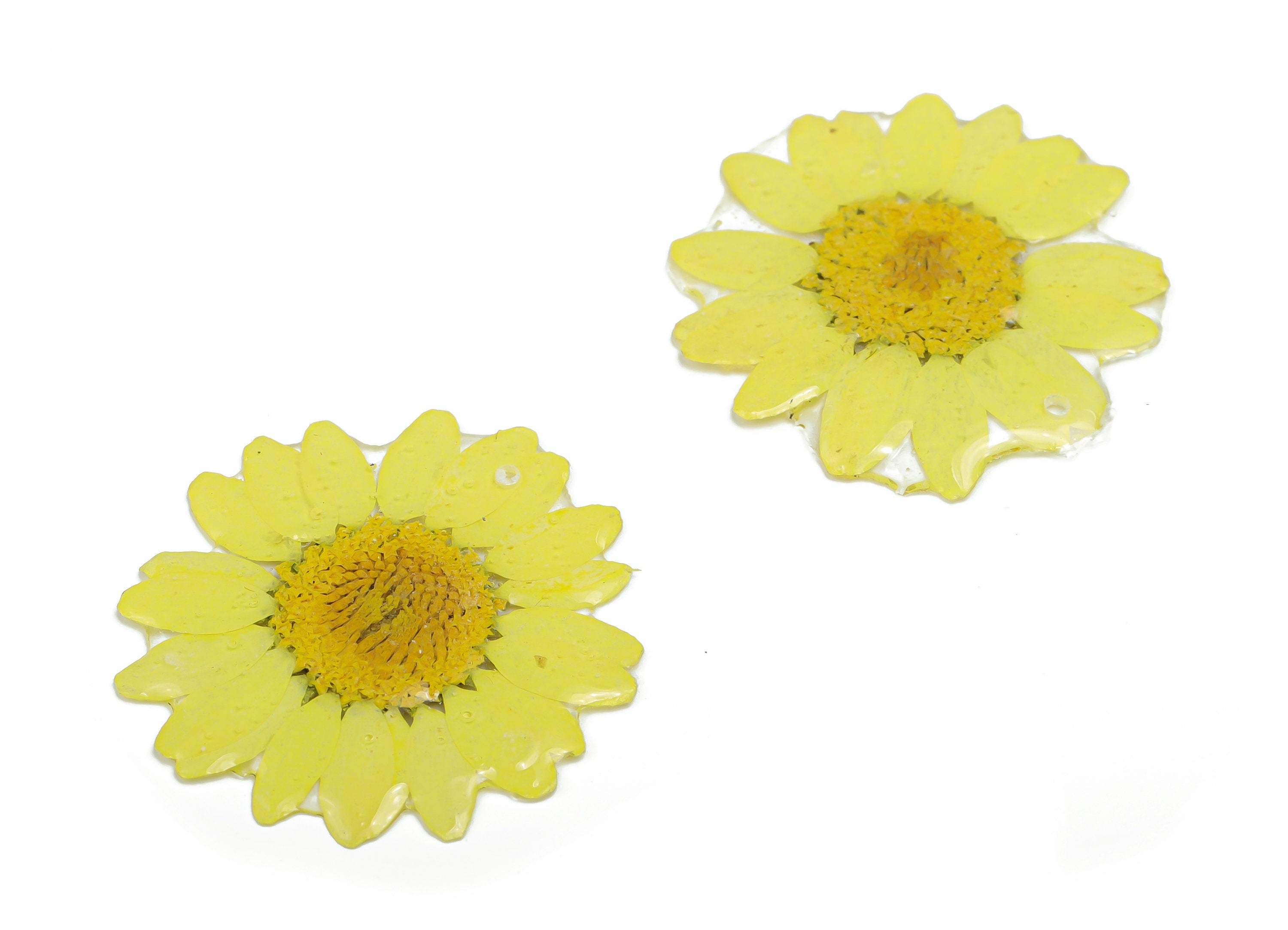Dried Real Flower Earring Charms -Real Flower Pendant - Dried Real Chamomile Pendant -Dried Flower Pendant –34.49x29.16x29.16mm - RC1197 - DOMEDBAZAAR