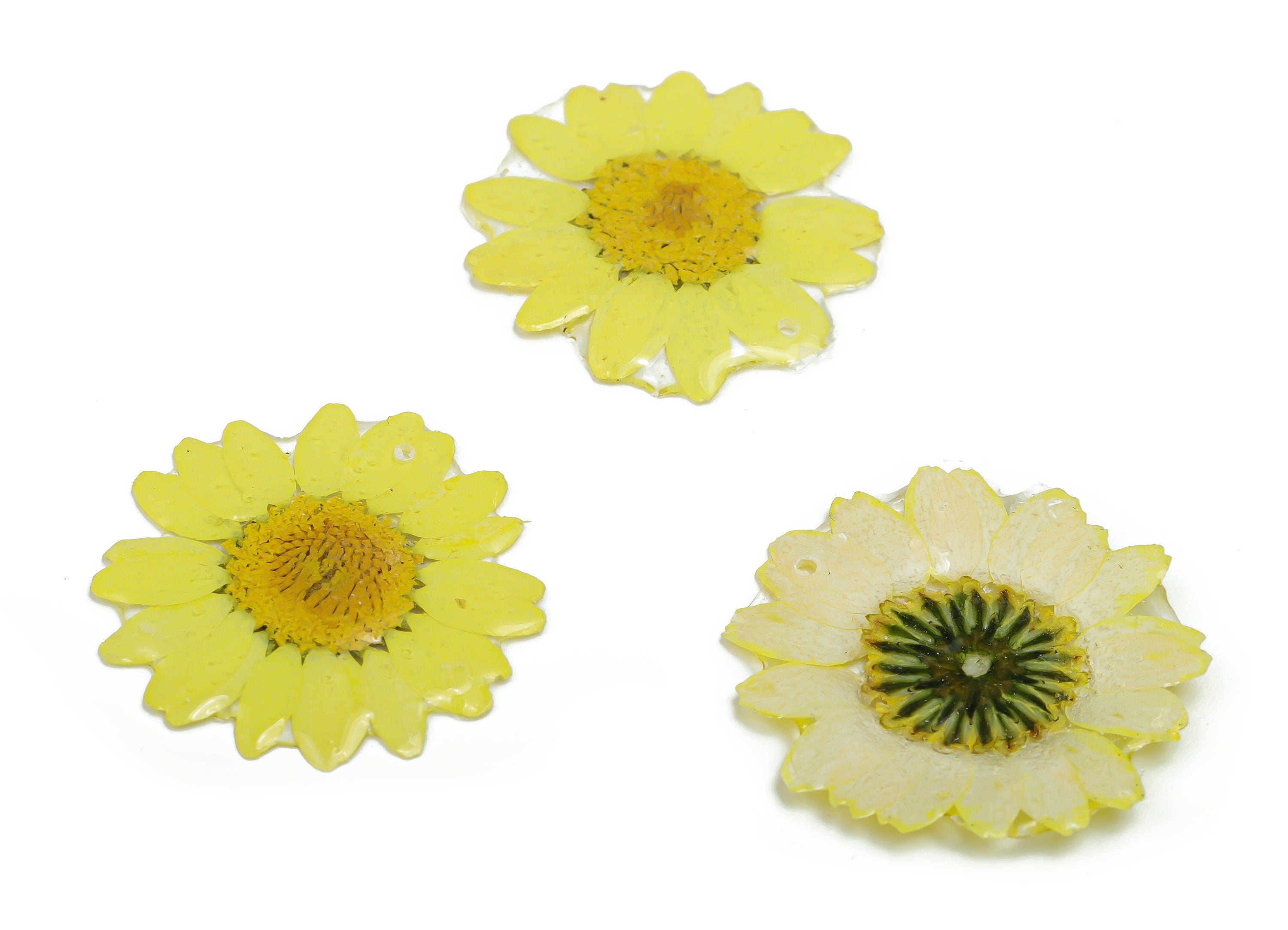 Dried Real Flower Earring Charms -Real Flower Pendant - Dried Real Chamomile Pendant -Dried Flower Pendant –34.49x29.16x29.16mm - RC1197 - DOMEDBAZAAR