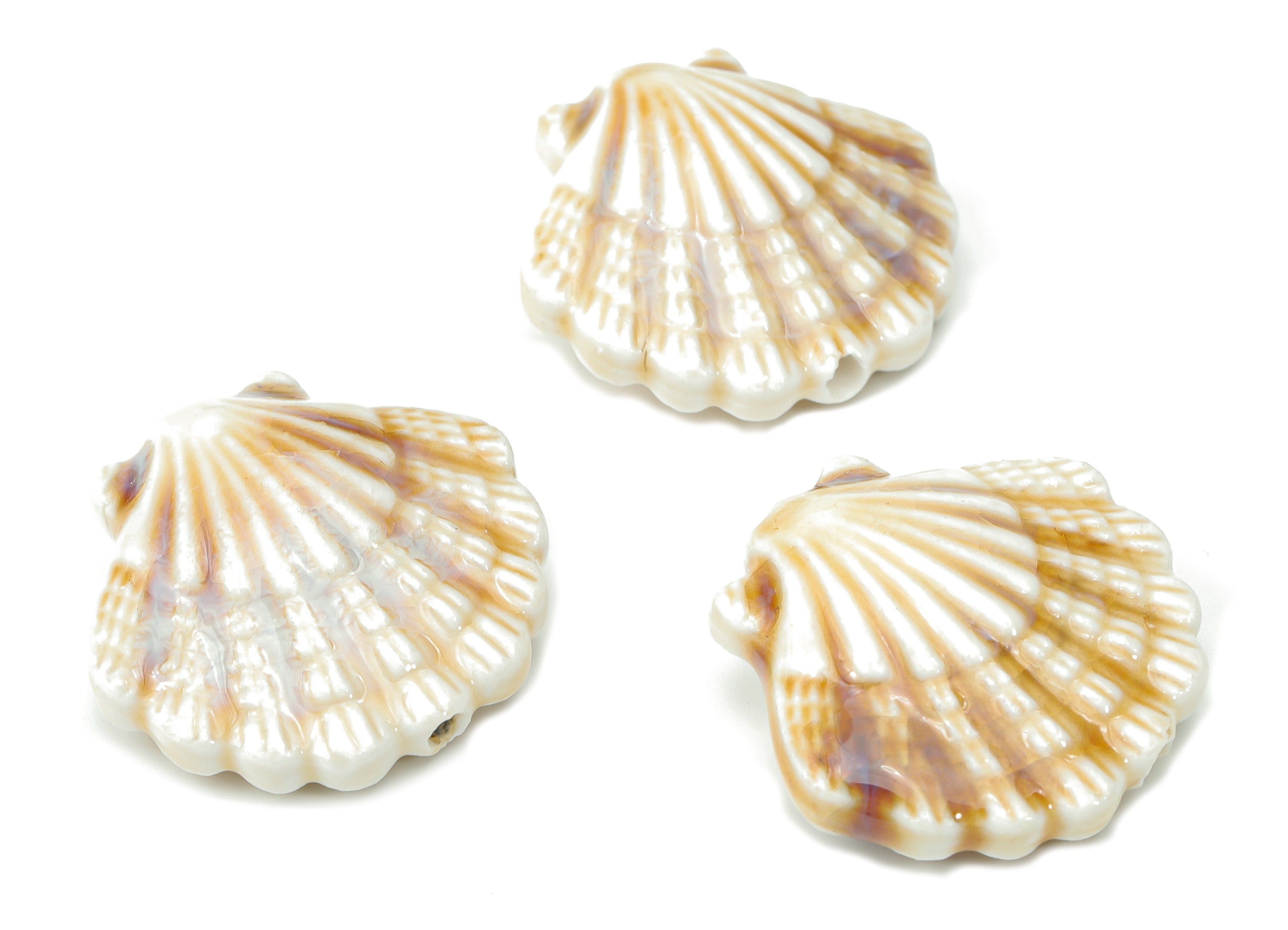 Glazed Ceramic Shell Beads - Carved Shell Beads - Handmade Beads - Bracelet Making Beads - Connectors Beads - 27.36x29.12x11.11mm - NS1823 - DOMEDBAZAAR