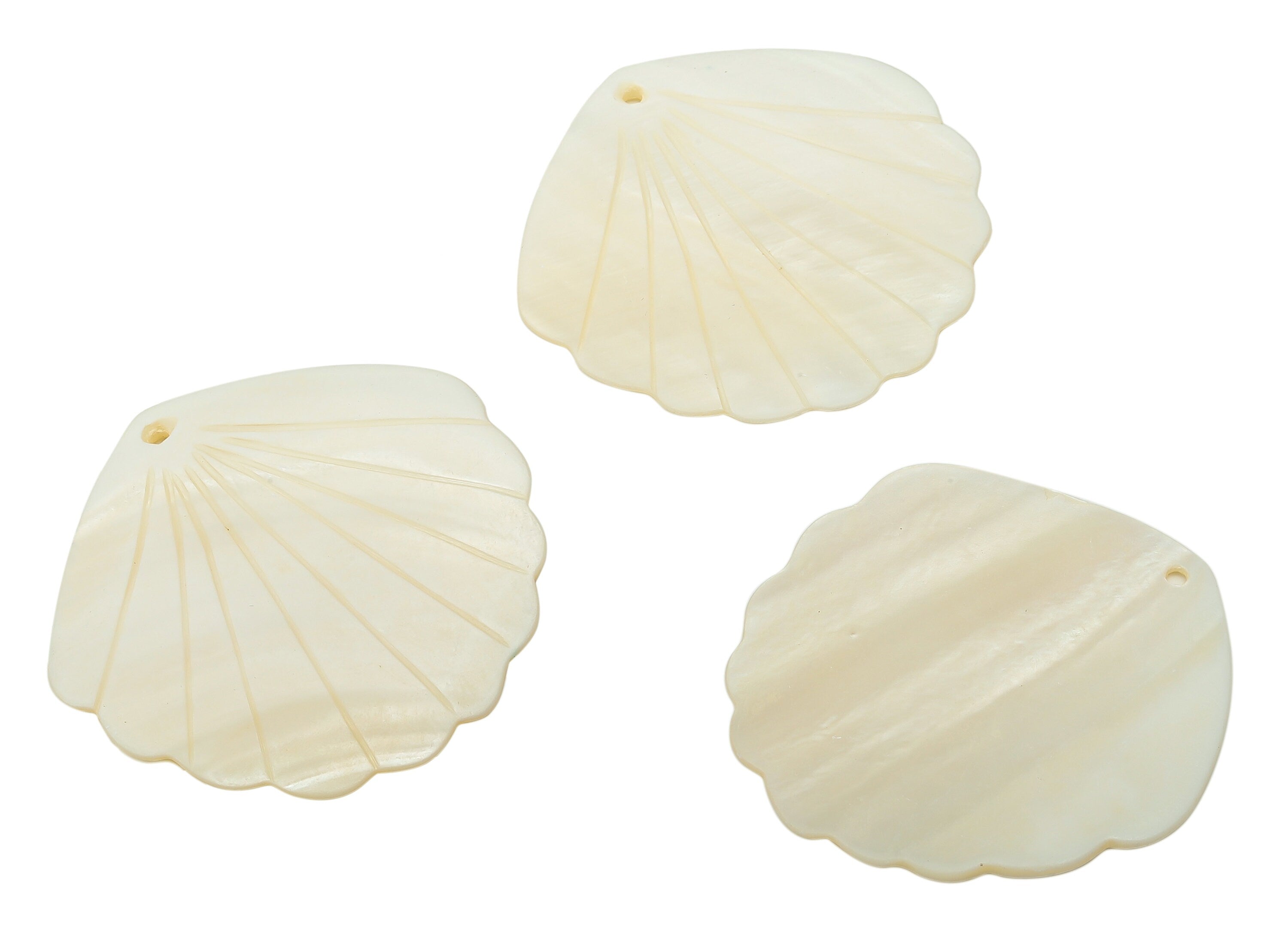 Clam Shell Pendants Charm - Clam Shell Charms - Ivory Shell Earrings Charm - Beach Charms - Ocean Jewelry Supplies - 48.48x47x2.14mm- SF1139 - DOMEDBAZAAR