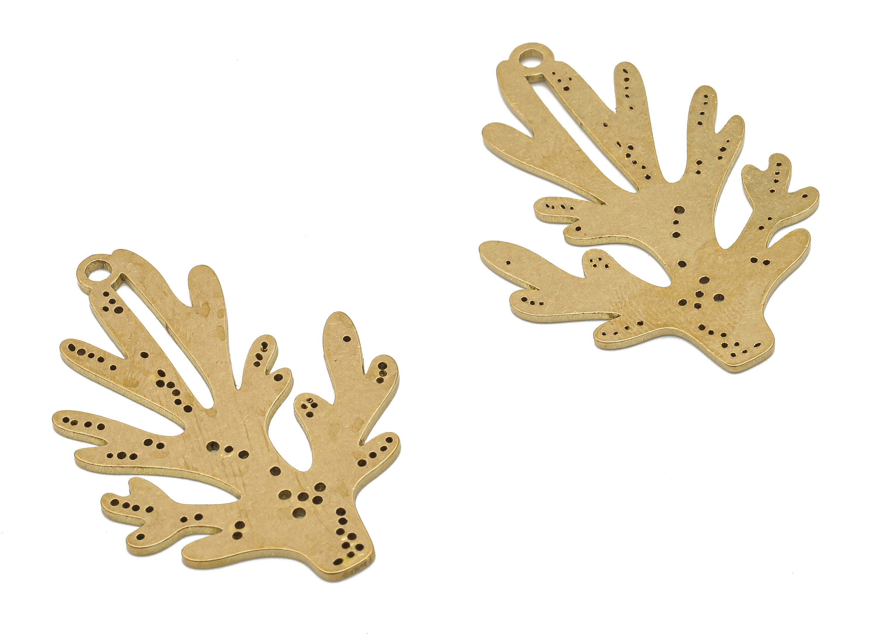 Brass Branch Earring Charm - Raw Brass Coral Cutout Pendant - Earring Findings - Jewelry Making Supplies - 35.89x24.38x0.85mm - PPA4348 - DOMEDBAZAAR